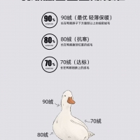 艾丽哲羽绒服选购指南，一次搞懂冬日温暖美学